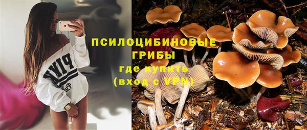 а пвп мука Янаул