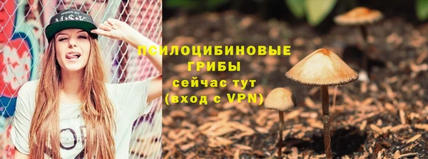 а пвп мука Яранск